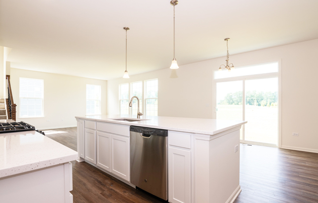 3628 Edelweiss Road Elgin, IL 60124 - Photo 6 of 38 a kitchen with a sink a stove a potted plant and a wooden floor