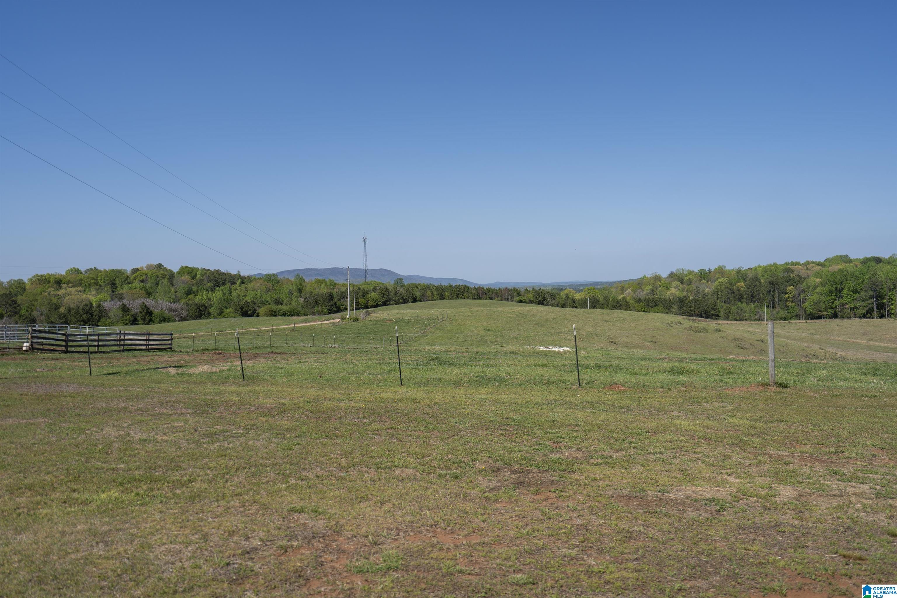 130 Kelly Road Ashland, AL 36251 - Photo 52 of 66