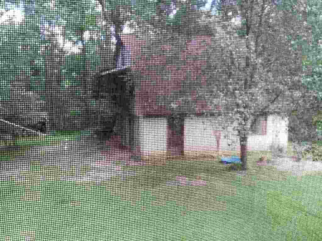 101 Old Central Road Clemson, SC 29631 - Photo 26 of 35 Gallery Image 26