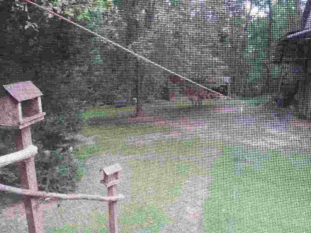 101 Old Central Road Clemson, SC 29631 - Photo 27 of 35 Gallery Image 27