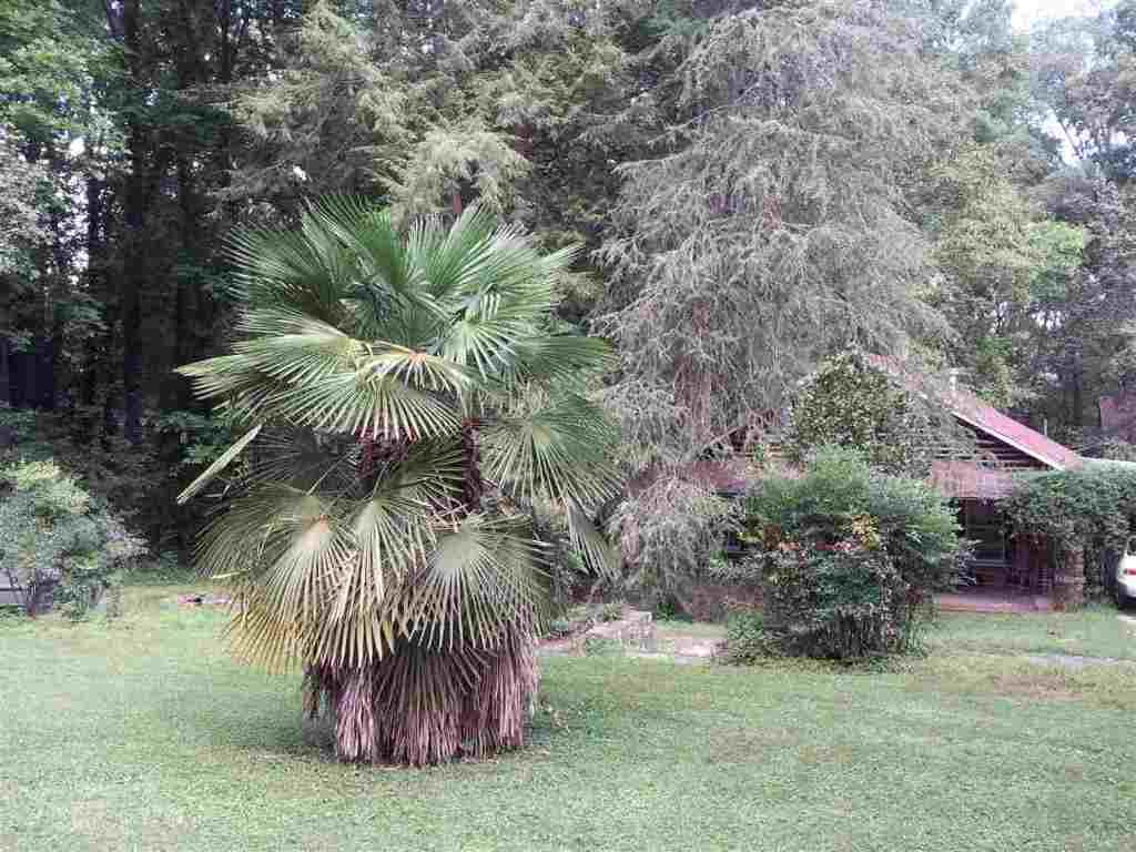 101 Old Central Road Clemson, SC 29631 - Photo 3 of 35 Gallery Image 3