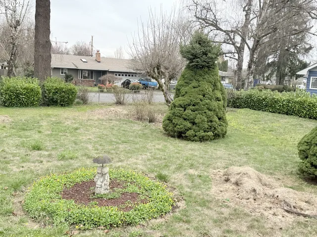 a view of a garden with a fountain