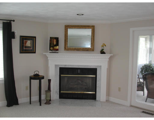 5 Baldwin Road Westford, MA 01886 - Photo 8 of 28 a living room with a fireplace and a potted plant