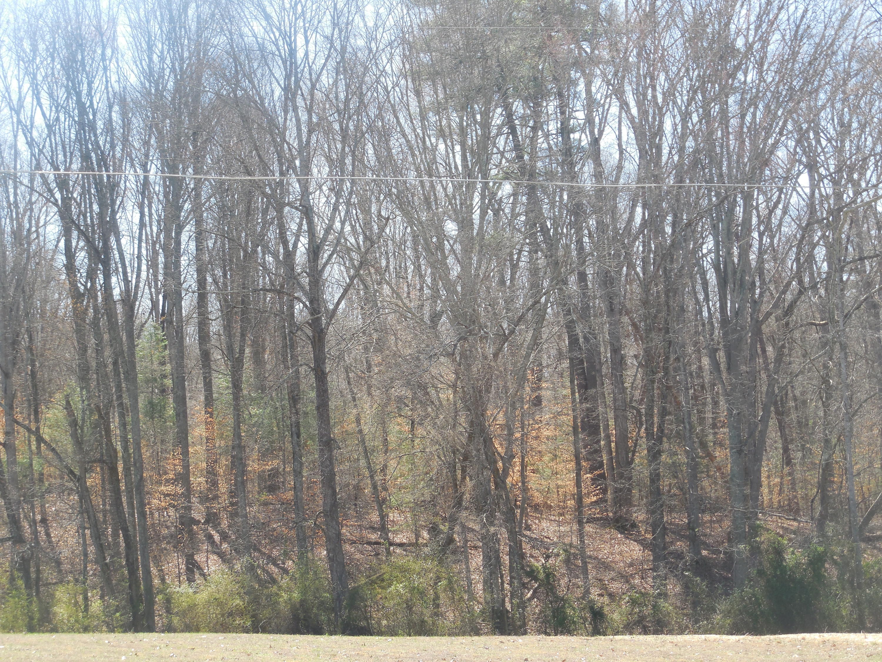 1249 Blockhouse Valley Road Clinton, TN 37716 - Photo 4 of 7 025