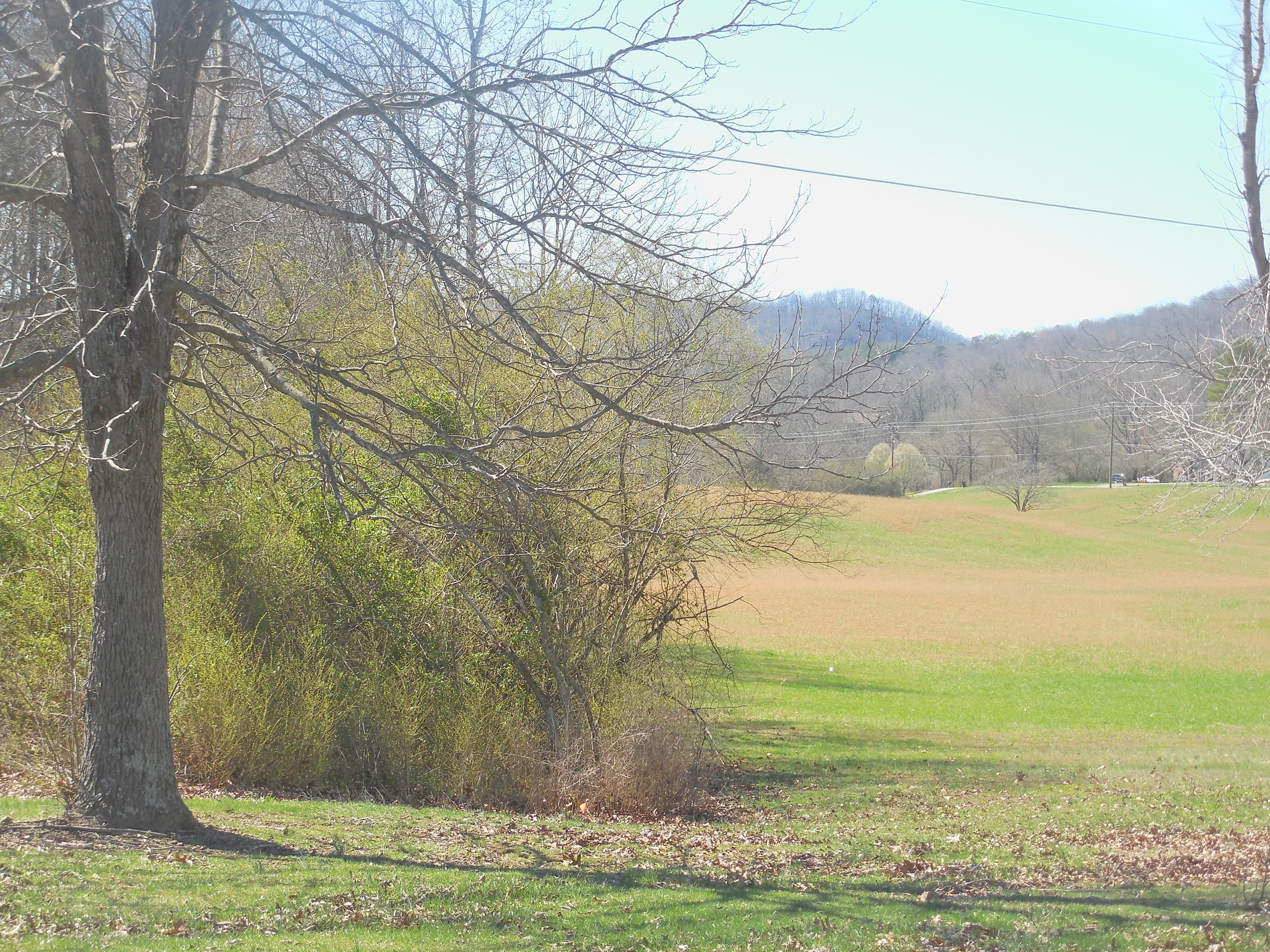 1249 Blockhouse Valley Road Clinton, TN 37716 - Photo 6 of 7 027
