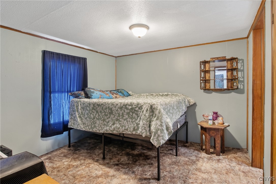 564 County Line Road Granby, NY 13135 - Photo 19 of 26