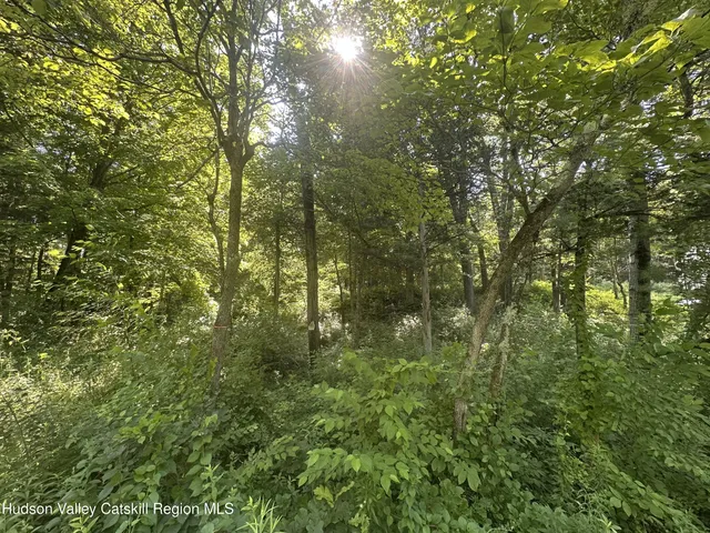 $210,000 | 0 Medwyn Lane, Red Hook, NY 12571