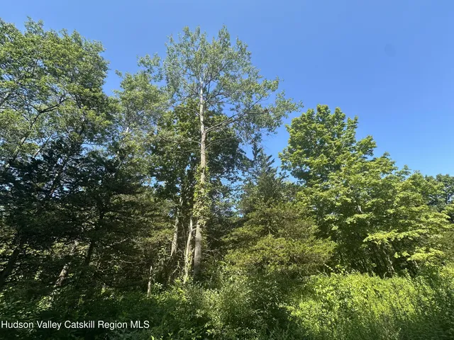 $210,000 | 0 Medwyn Lane, Red Hook, NY 12571