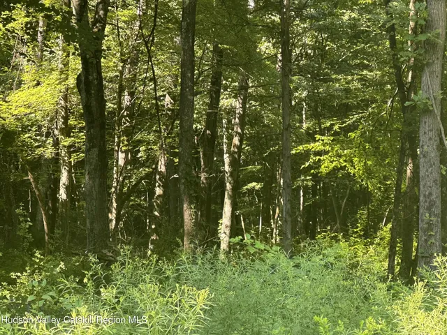 $210,000 | 0 Medwyn Lane, Red Hook, NY 12571