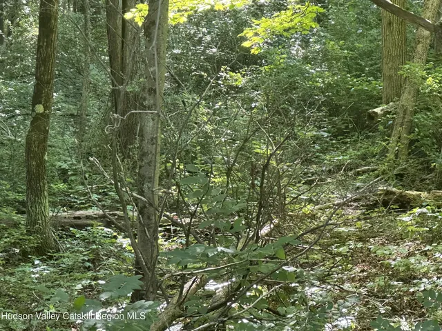 a view of a lake with a tree