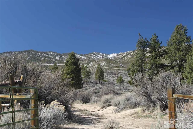 a view of a dry yard with trees