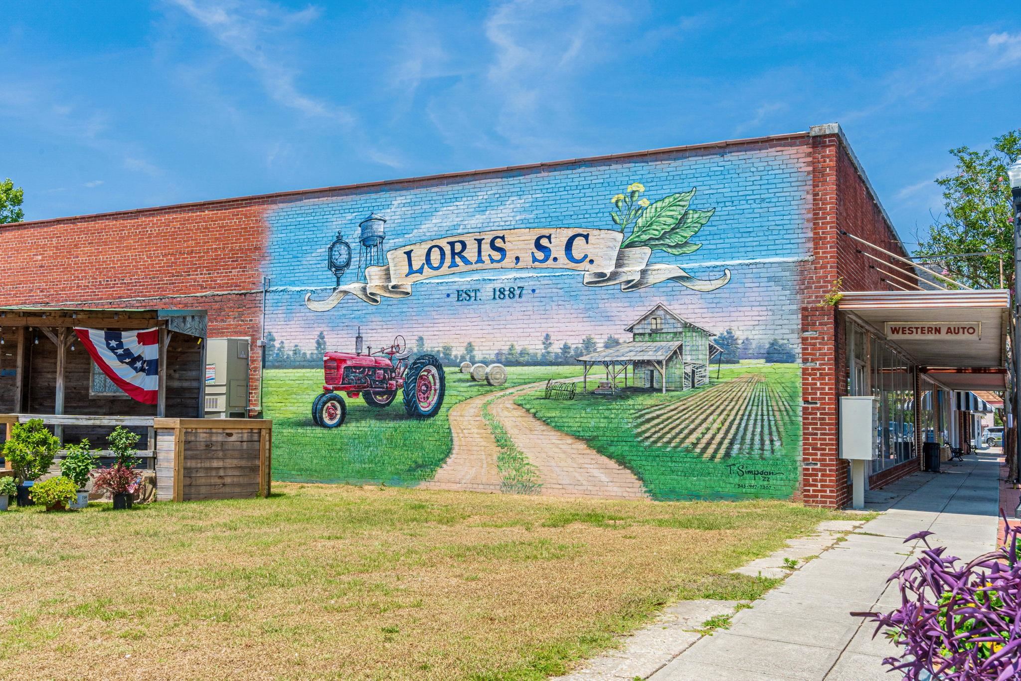 622 Hulls Island Road Loris, SC 29569 - Photo 27 of 38