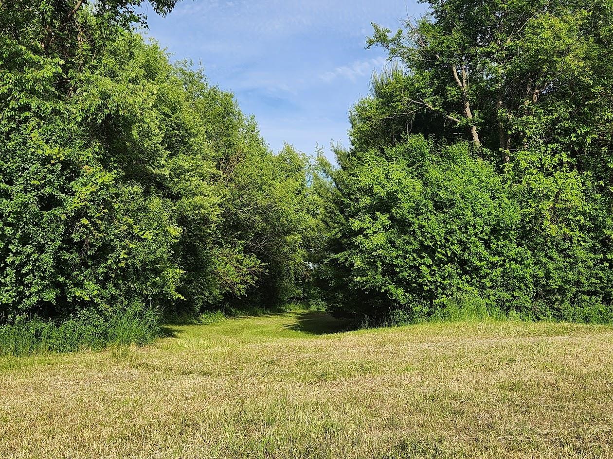 Ollinger Road Beaver Dam, WI 53916 - Photo 5 of 6