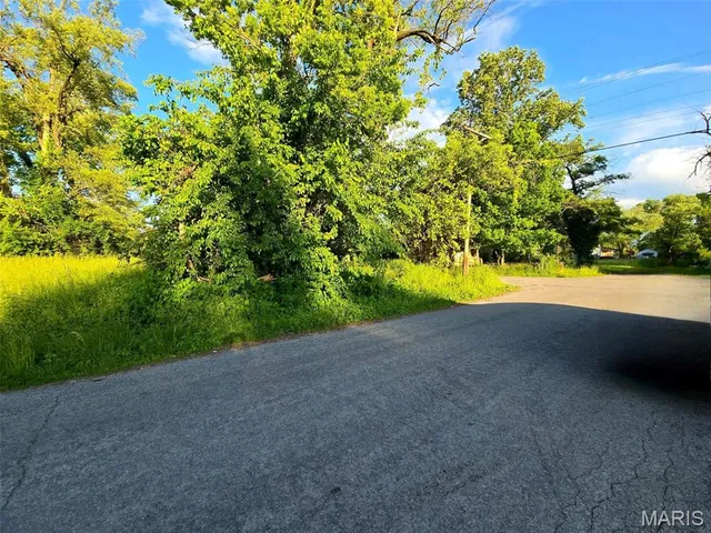 $5,000 | 1309 North 43rd Street, East St. Louis, IL 62204