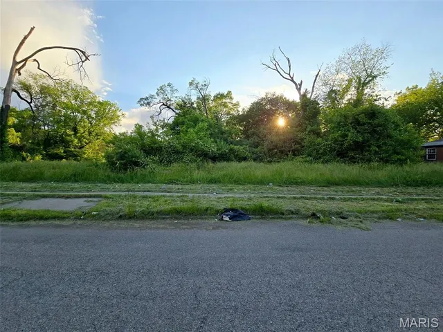 $5,000 | 1309 North 43rd Street, East St. Louis, IL 62204