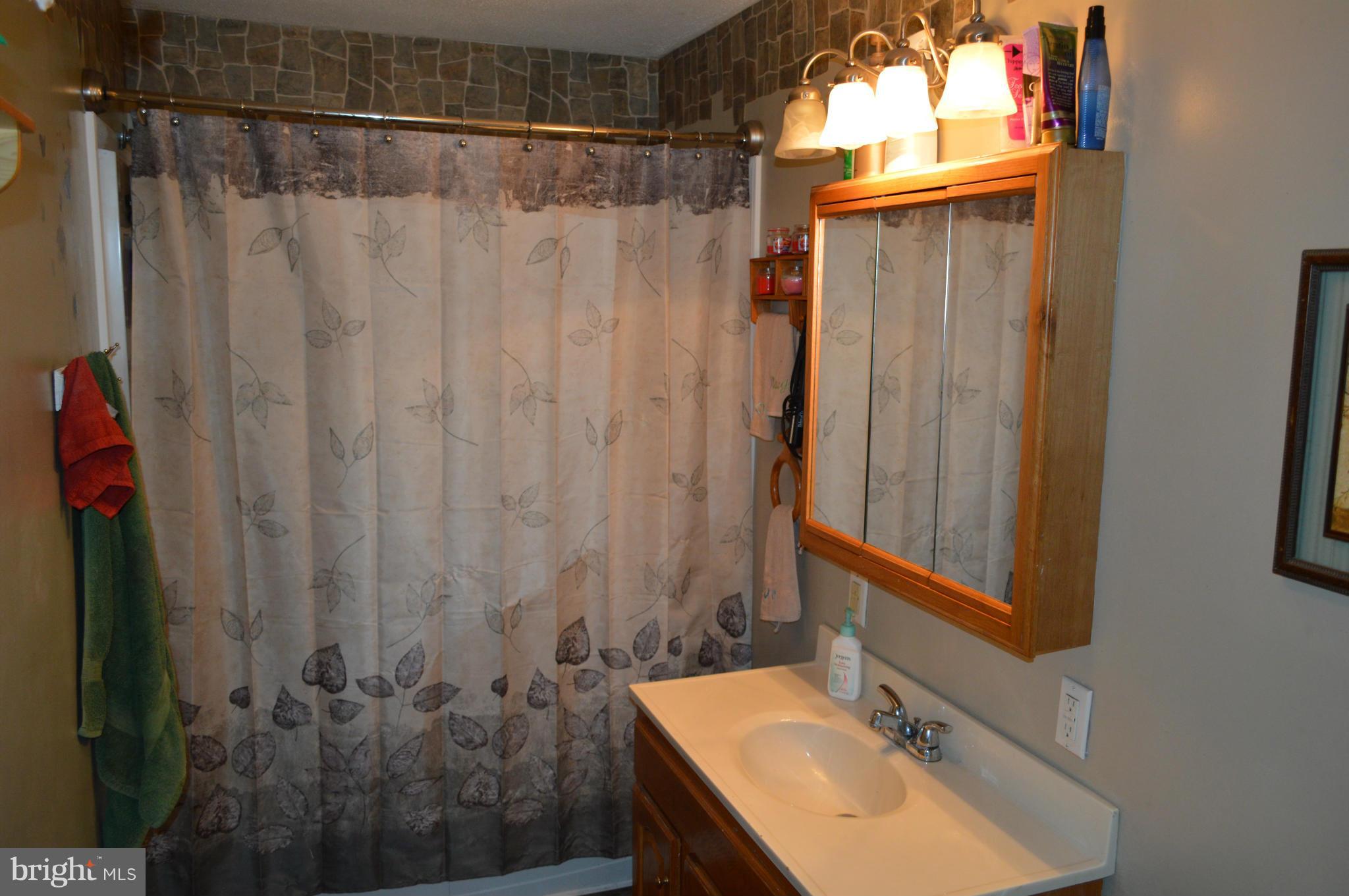 24116 Kyle Hill Road Southwest Barton, MD 21521 - Photo 10 of 14 Bath