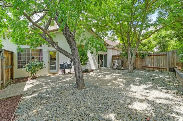 a view of a yard with a house and a large tree