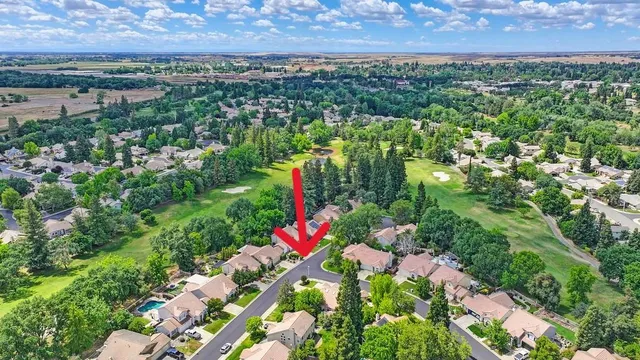 a tree in the backyard of a house