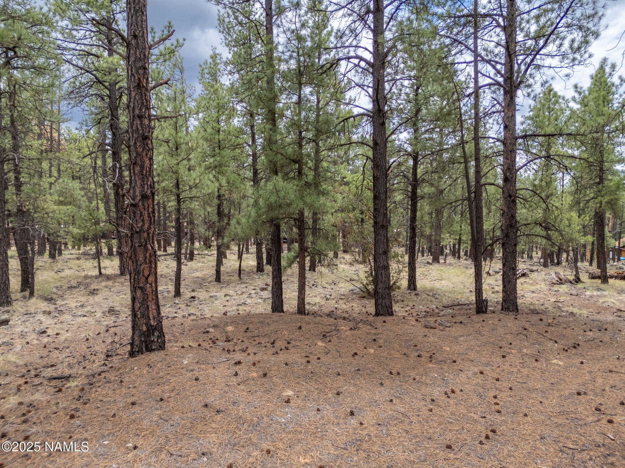 7418 East Robin Hood Road Williams, AZ 86046 - Photo 11 of 21 10-web-or-mls-TimberCreekImagery-9