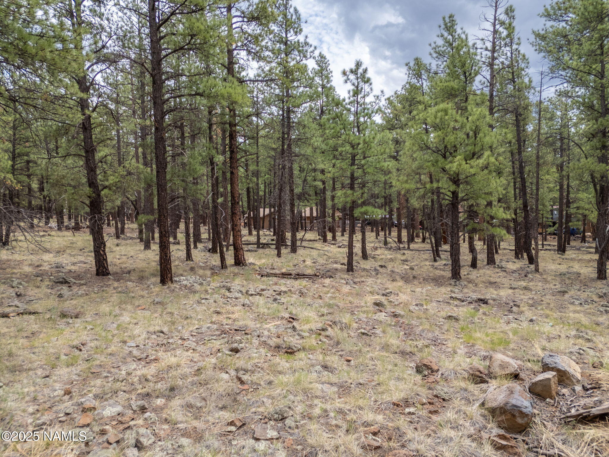 7418 East Robin Hood Road Williams, AZ 86046 - Photo 12 of 21 11-web-or-mls-TimberCreekImagery-10