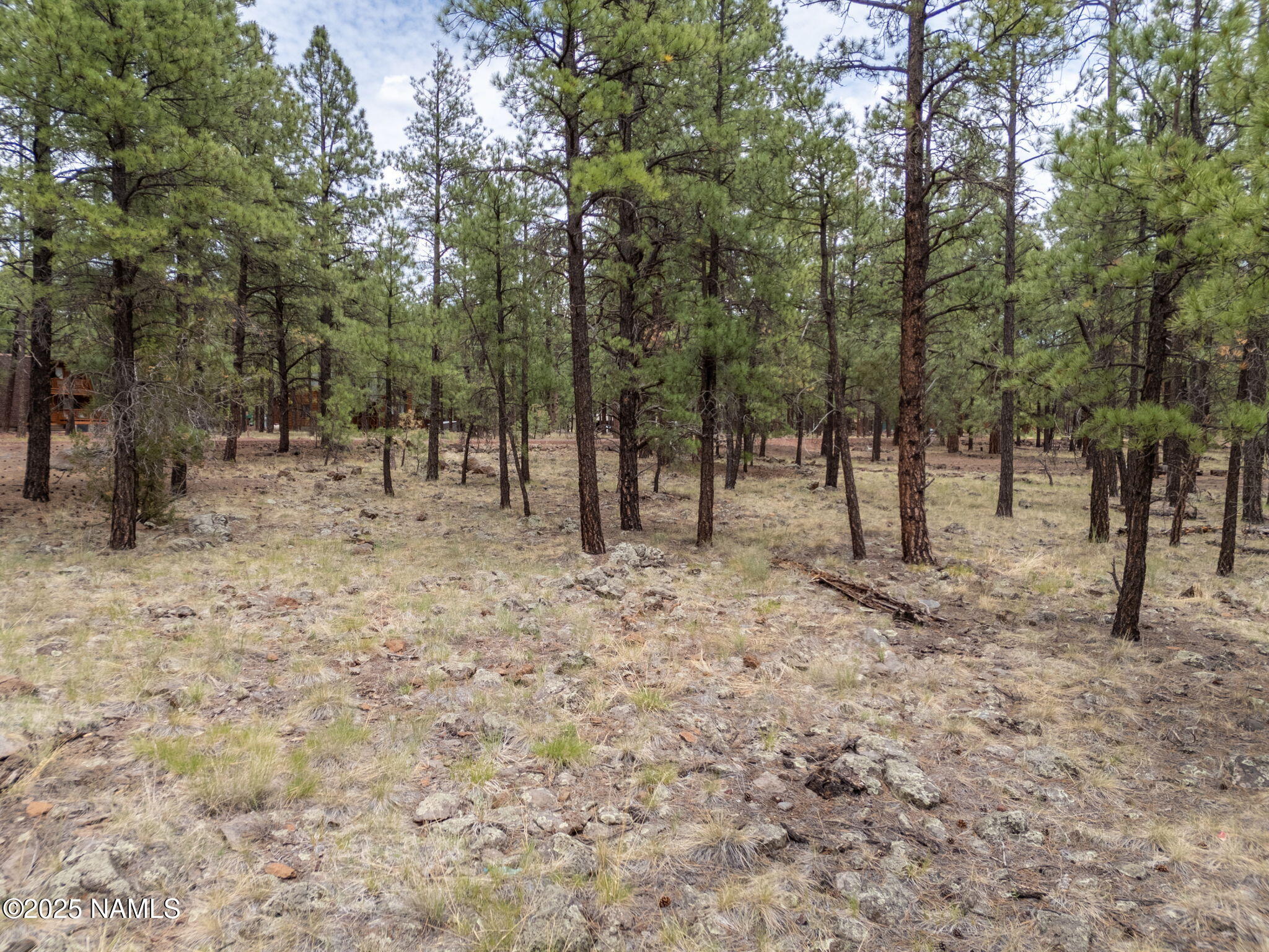 7418 East Robin Hood Road Williams, AZ 86046 - Photo 13 of 21 12-web-or-mls-TimberCreekImagery-11