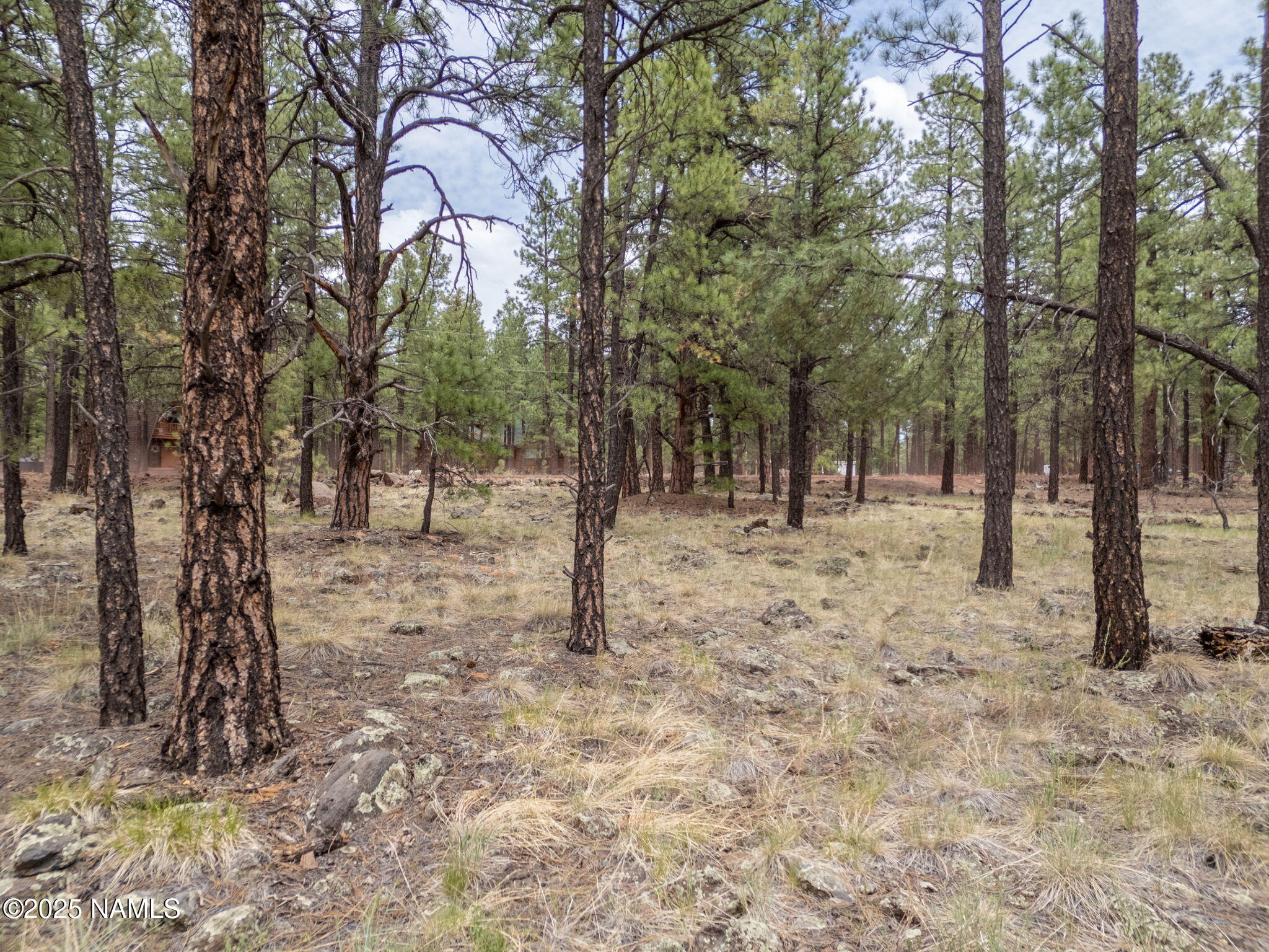 7418 East Robin Hood Road Williams, AZ 86046 - Photo 15 of 21 14-web-or-mls-TimberCreekImagery-13