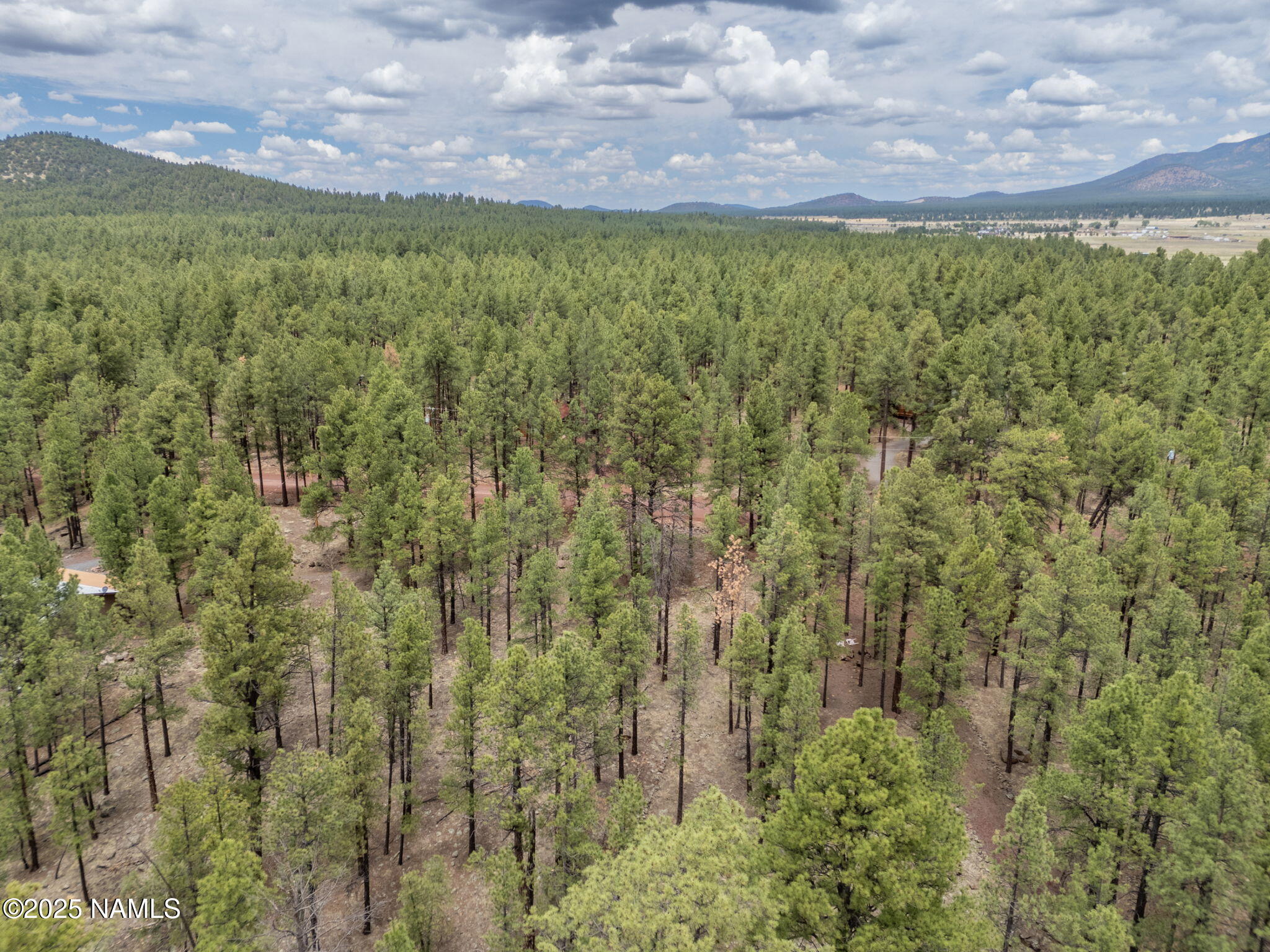 7418 East Robin Hood Road Williams, AZ 86046 - Photo 17 of 21 16-web-or-mls-TimberCreekImagery-15