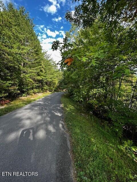252 Round Top Way Sevierville, TN 37862 - Photo 3 of 17 Street view