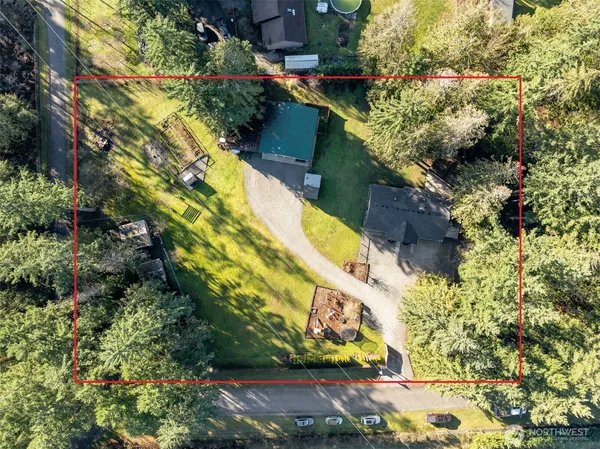a view of a yard with plants
