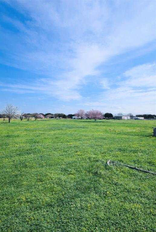 990 Treehouse Lane Red Oak, TX 75154 - Photo 6 of 17