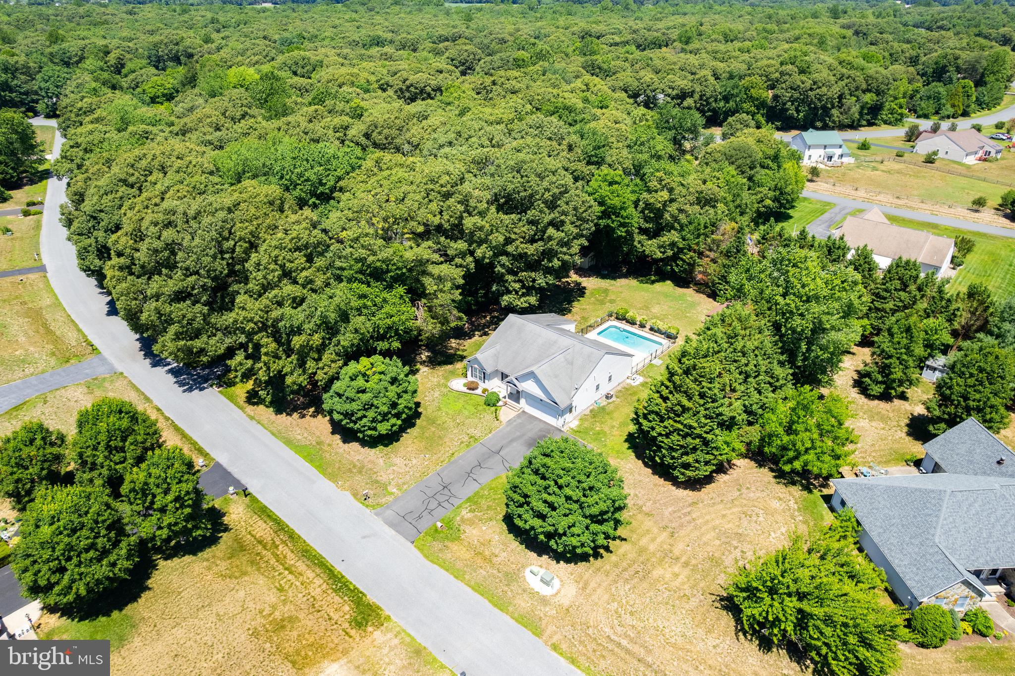 12 Petunia Road Greenwood, DE 19950 - Photo 3 of 50