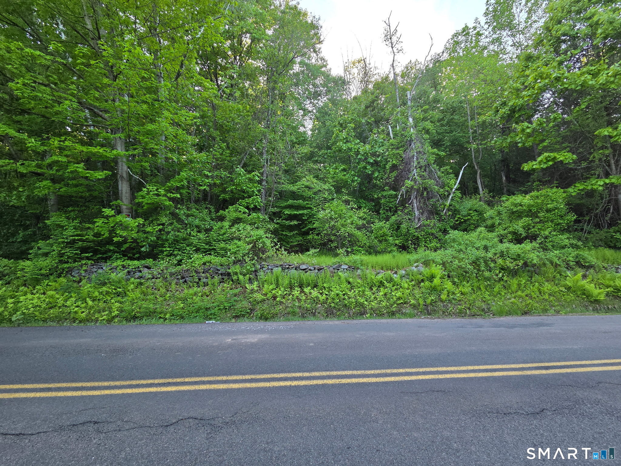 33 Davis Road Harwinton, CT 06791 - Photo 12 of 13 a backyard of a house with lots of green space