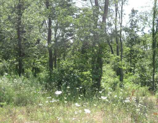 1686 Kennedy Road Imperial, PA 15126 - Photo 2 of 5 Land/Lot. THIS PROPERTY IS A GREAT PROPERTY TO SUBDIVIDE. PLEASE CALL MEDIA DRUSCHEL 724-816-0881 FOR MORE INFORMATION.