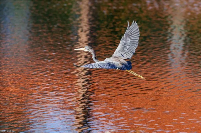 a view of outdoor space with swimming pool