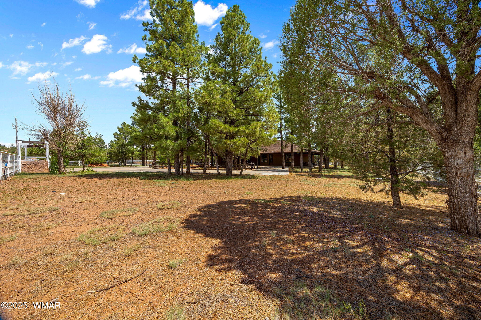 1955 Ricochet Ranch Road Show Low, AZ 85901 - Photo 36 of 43 a view of outdoor space with trees