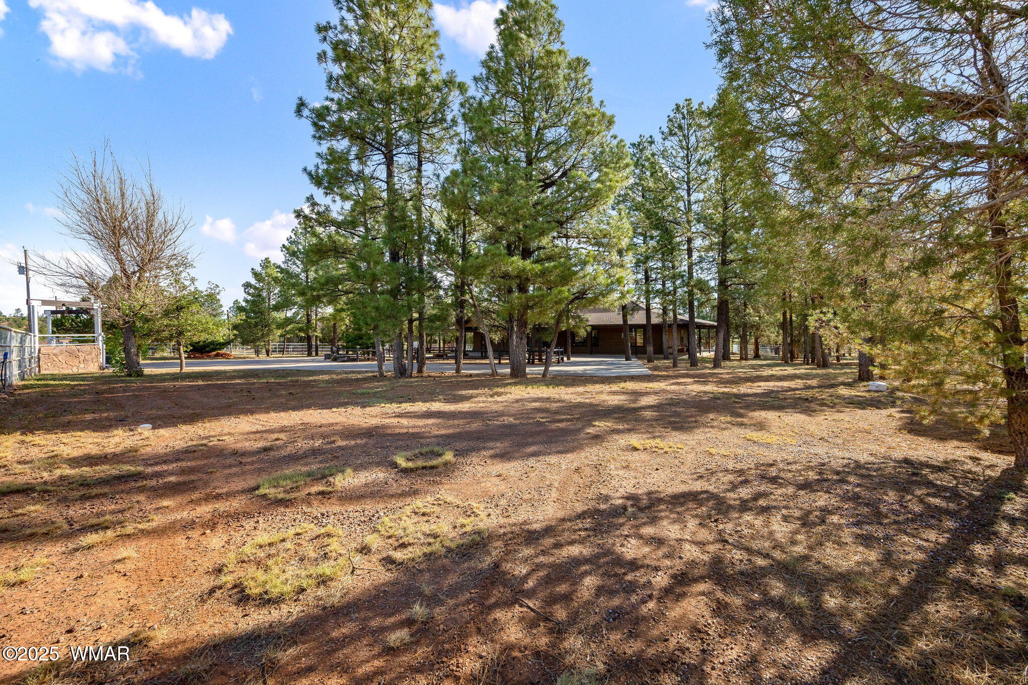 1955 Ricochet Ranch Road Show Low, AZ 85901 - Photo 5 of 43 a view of street space