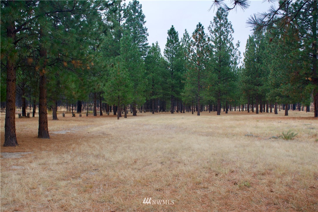 125 Jason Lucas Road Methow, WA 98834 - Photo 21 of 25