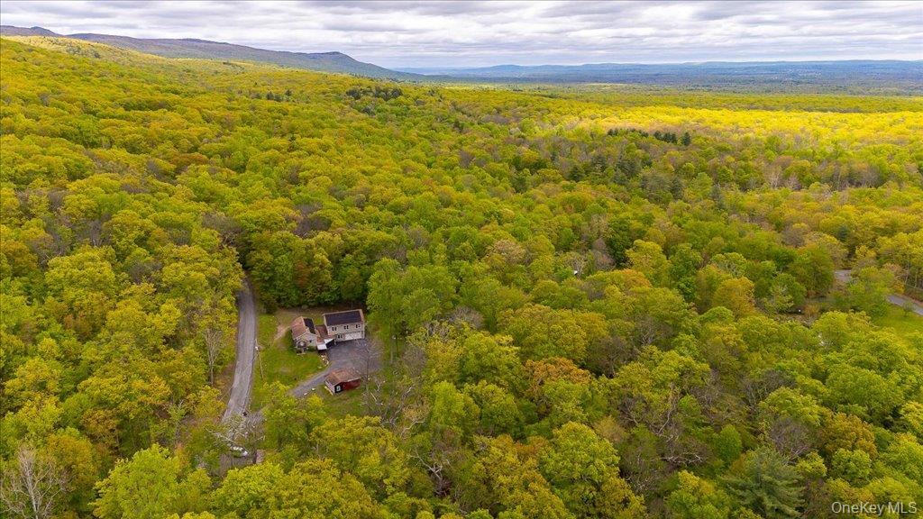 80 Jones Road Pine Bush, NY 12566 - Photo 41 of 44