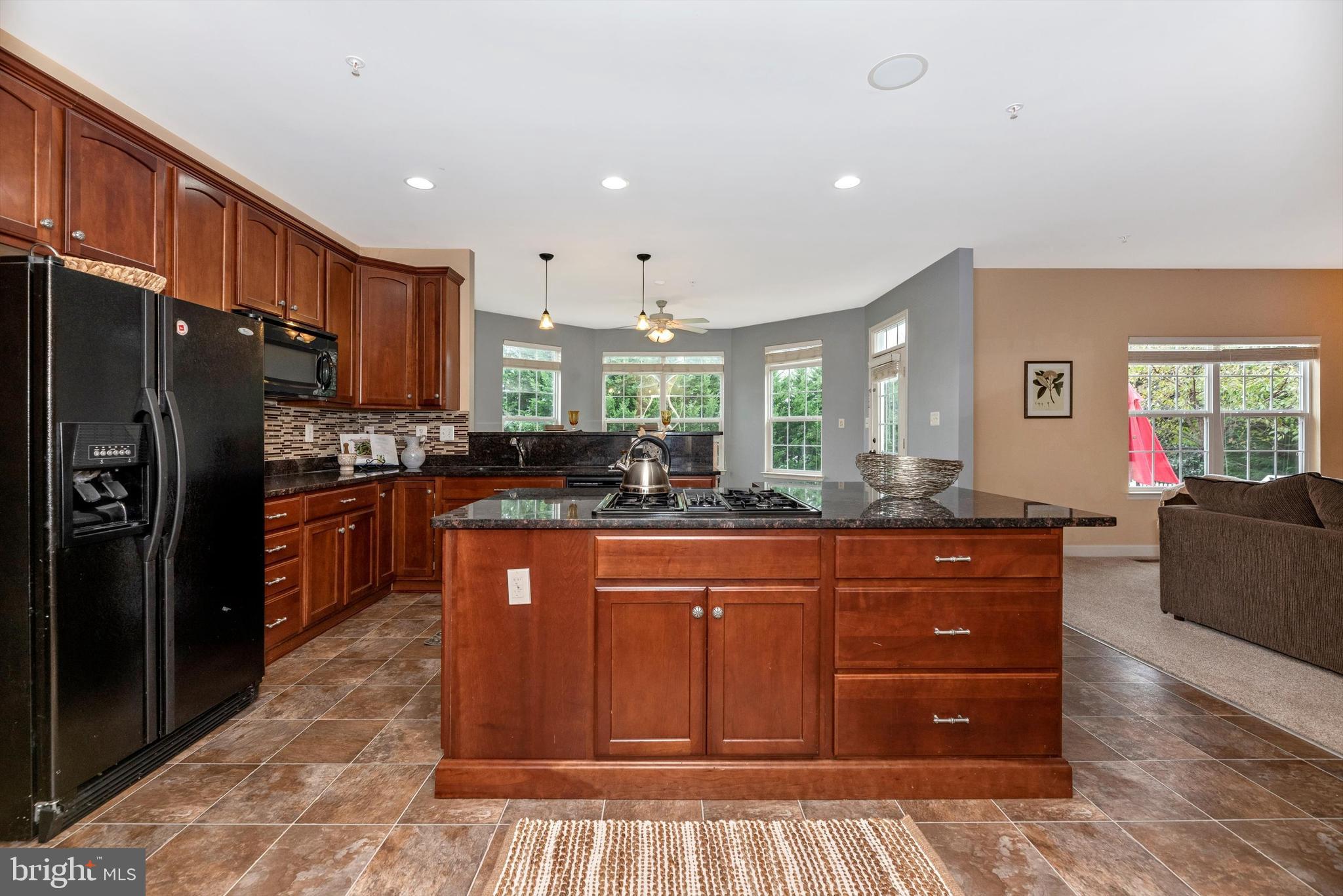4005 Paw Paw Circle Point of Rocks, MD 21777 - Photo 13 of 100