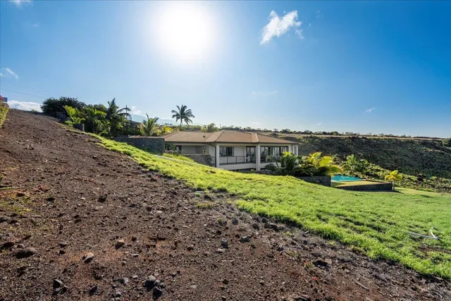 a view of a green field with lots of bushes