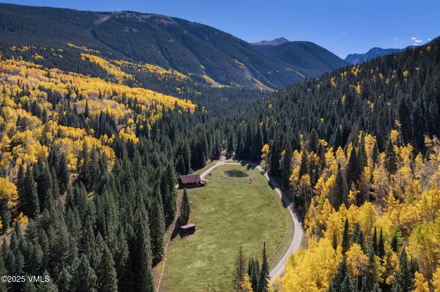 a view of a lush green forest with lots of trees