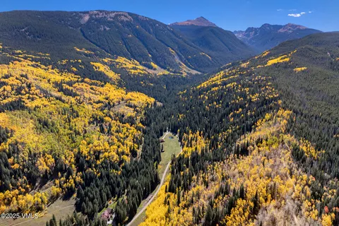 a view of a forest with trees in the background