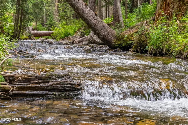 a view of a garden with trees