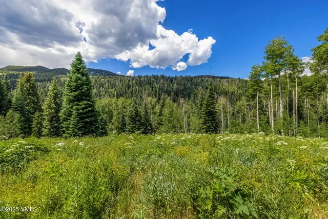 $10,950,000 | 801 Holy Cross Drive, Edwards, CO 81632