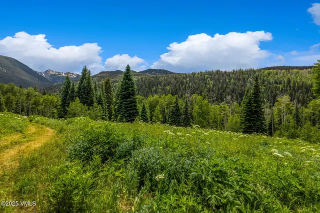 $10,950,000 | 801 Holy Cross Drive, Edwards, CO 81632