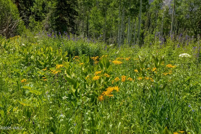 $10,950,000 | 801 Holy Cross Drive, Edwards, CO 81632