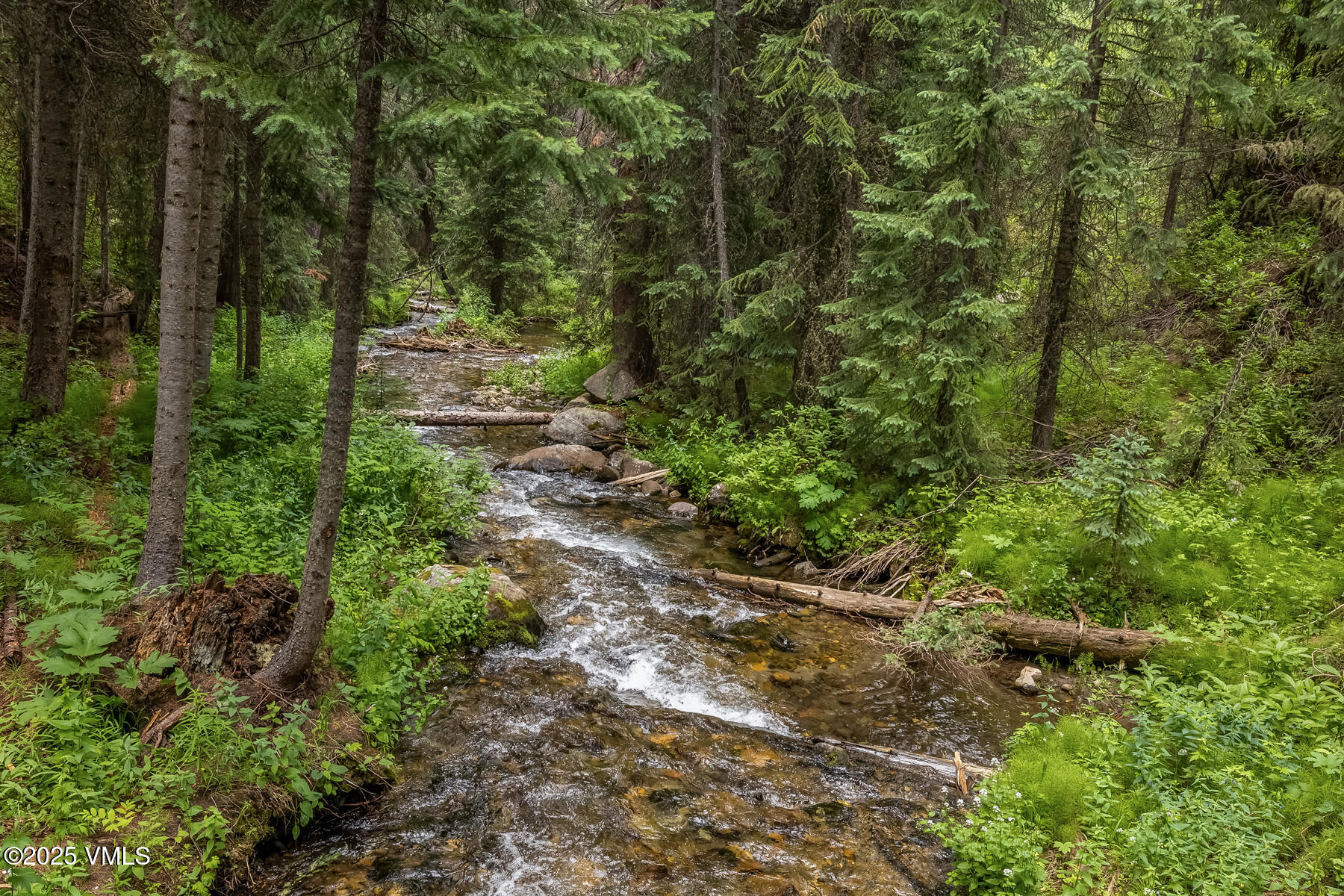 801 Holy Cross Drive Edwards, CO 81632 - Photo 47 of 48 138A7912_1