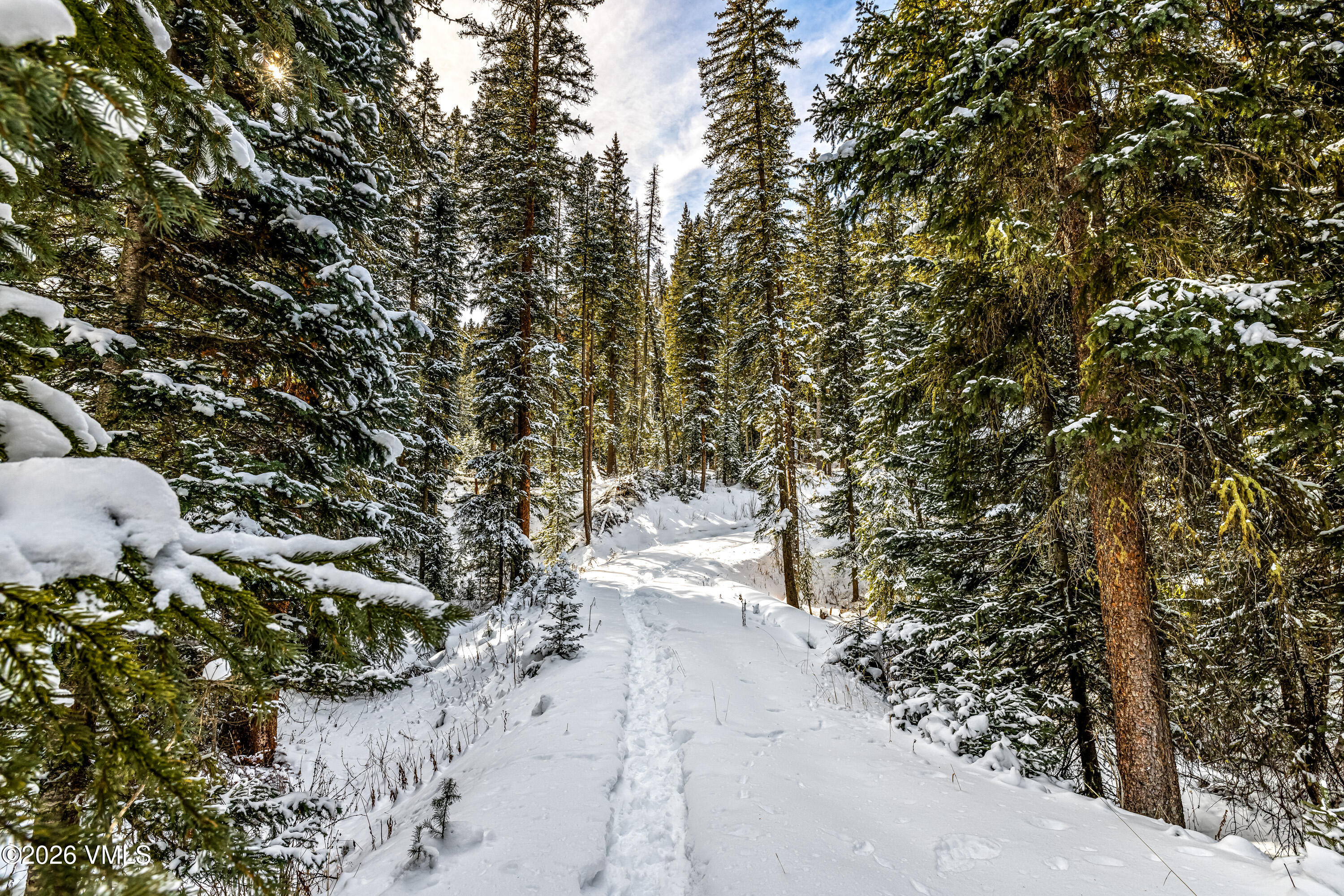 801 Holy Cross Drive Edwards, CO 81632 - Photo 8 of 48 a view of a yard with plants and large trees