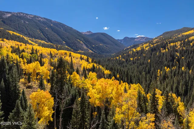 a lake view with a garden