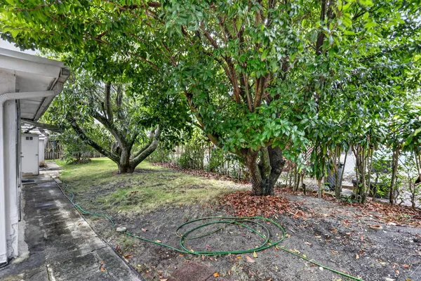 a view of outdoor space and tree